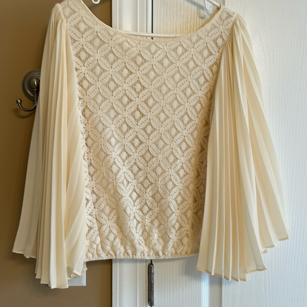 Gorgeous blouse. Accordion sleeves.